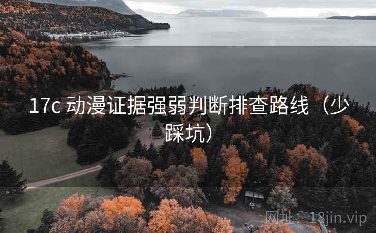17c 动漫证据强弱判断排查路线（少踩坑）