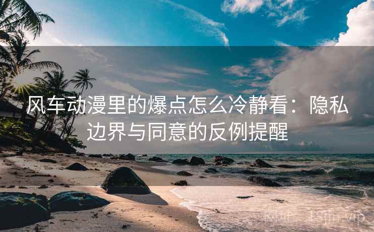 风车动漫里的爆点怎么冷静看:隐私边界与同意的反例提醒 风车动漫里的爆点怎么冷静看:隐私边界与同意的反例提醒
